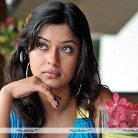 Payal Ghosh Hot New Pictures | Picture 111050